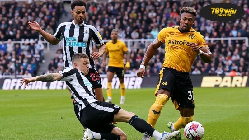 Soi kèo bóng đá Newcastle vs Wolves, 21h00 ngày 13/9, chim chóc hót vang 1 Thông tin lực lượng Newcastle vs Wolves mới nhất